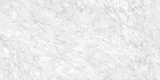 La Marca Carrara Gioia 2×48 Field Tile Honed Rectified La Marca Carrara Gioia 2×48 Field Tile Honed Rectified