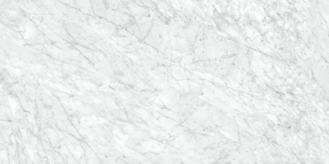 La Marca Carrara Gioia Honed 24X48 Rectified