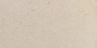 Tuscany Ivory 8×16 Field Tile Textured
