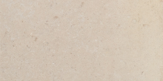 Tuscany Ivory 8×16 Field Tile Textured