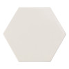 6th Avenue Canvas 6″ Hexagon Glossy