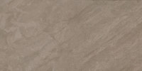 Portugal Tinta Negra (Warm Mid) 12×24 Field Tile Textured Rectified