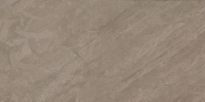Portugal Tinta Negra (Warm Mid) 12×24 Field Tile Textured Rectified