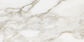 Gleam Calacatta 12×24 Field Tile Matte