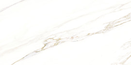 Cava Bianco 24×48 Field Tile Polished Rectified