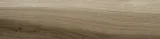 Amaya Walnut 6×24 Field Tile