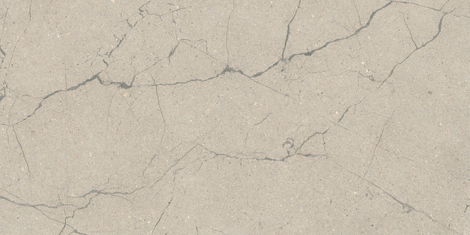 Roxy Beige 24×48 Field Tile Leather Rectified