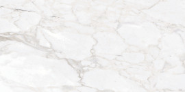 Classica Renoir 12×24 Field Tile