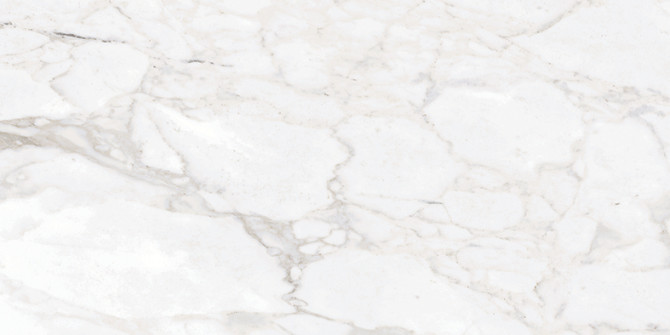 Classica Renoir 12×24 Field Tile