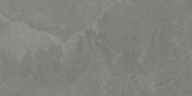 Albany Fossil 12×24 Field Tile Rectified