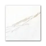 Checkerboard Calacatta 12×12 Field Tile Honed