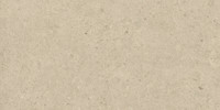 Legacy Limestone Ivory 12×24 Field Tile Rectified