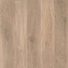 Cocoon Ease 24×24 Field Tile Textured Aextra20 Rectified