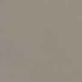 Neoconcrete Medium Gray 24×24 Field Tile Light Polished Rectified Neoconcrete Medium Gray 24×24 Field Tile Light Polished Rectified