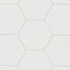 6th Avenue White 6″ Hexagon Glossy