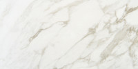 Brisbane Arabescato 12×24 Field Tile