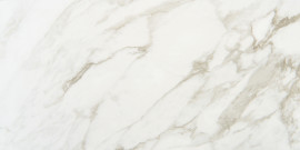 Brisbane Arabescato 12×24 Field Tile Brisbane Arabescato 12×24 Field Tile