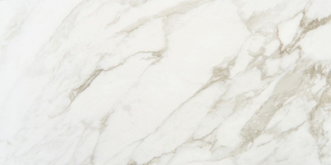 Brisbane Arabescato 12×24 Field Tile
