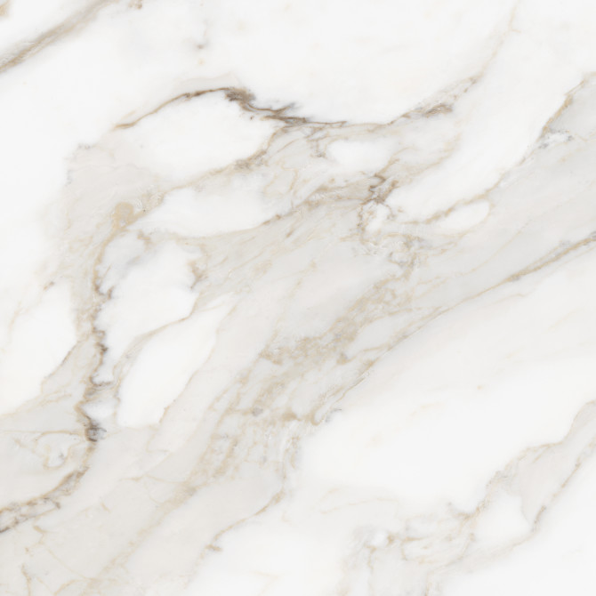Majesto Calacatta Oro 24×24 Field Tile Vintage Rectified