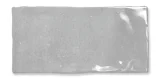 Fez Grey 2×5 Field Tile Glossy
