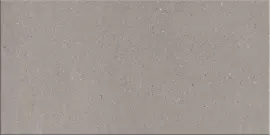 Oslo Cool Gray 12×24 Field Tile Natural