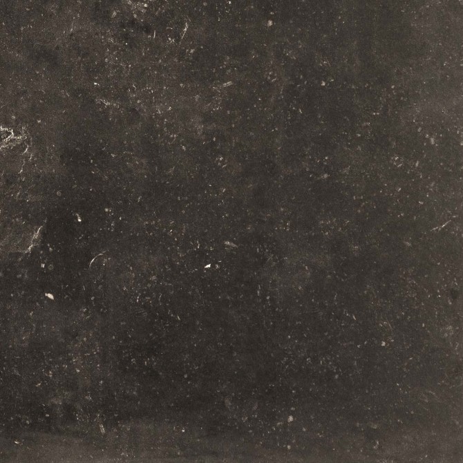 Belgica 12×12 Field Tile Matte Rectified